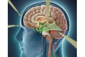 Konflikt- und Heilungsphasen